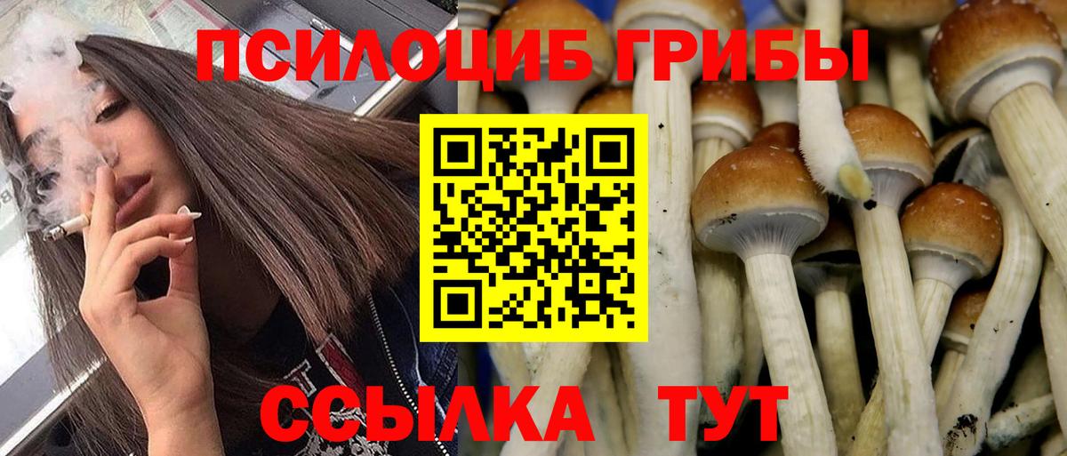 Галлюциногенные грибы Cubensis  Галлюциногенные грибы мицелий  Кемерово  Вход с VPN 